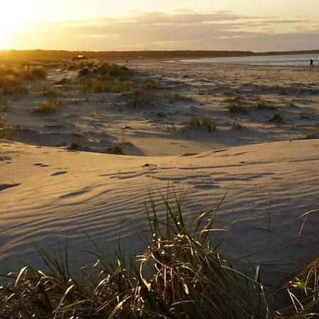 Baltic Sea Darss Waldsiedlung 1 1 Og Apartamento *