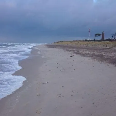 Baltic Sea Darss Waldsiedlung 1 1 Og