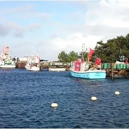 Baltic Sea Darss Waldsiedlung 1 1 Og Prerow