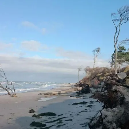 Baltic Sea Darss Waldsiedlung 1 1 Og Apartamento