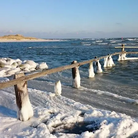 Apartamento Baltic Sea Darss Waldsiedlung 1 1 Og *