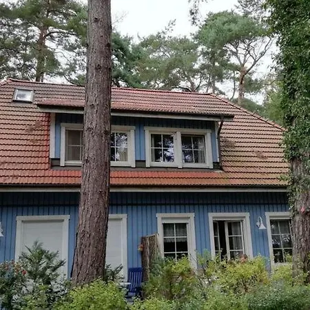 Baltic Sea Darss Waldsiedlung 1 1 Og Prerow