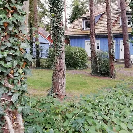 Apartamento Baltic Sea Darss Waldsiedlung 1 1 Og *