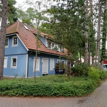 Baltic Sea Darss Waldsiedlung 1 1 Og *