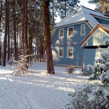 Baltic Sea Darss Waldsiedlung 1 1 Og Apartamento Prerow